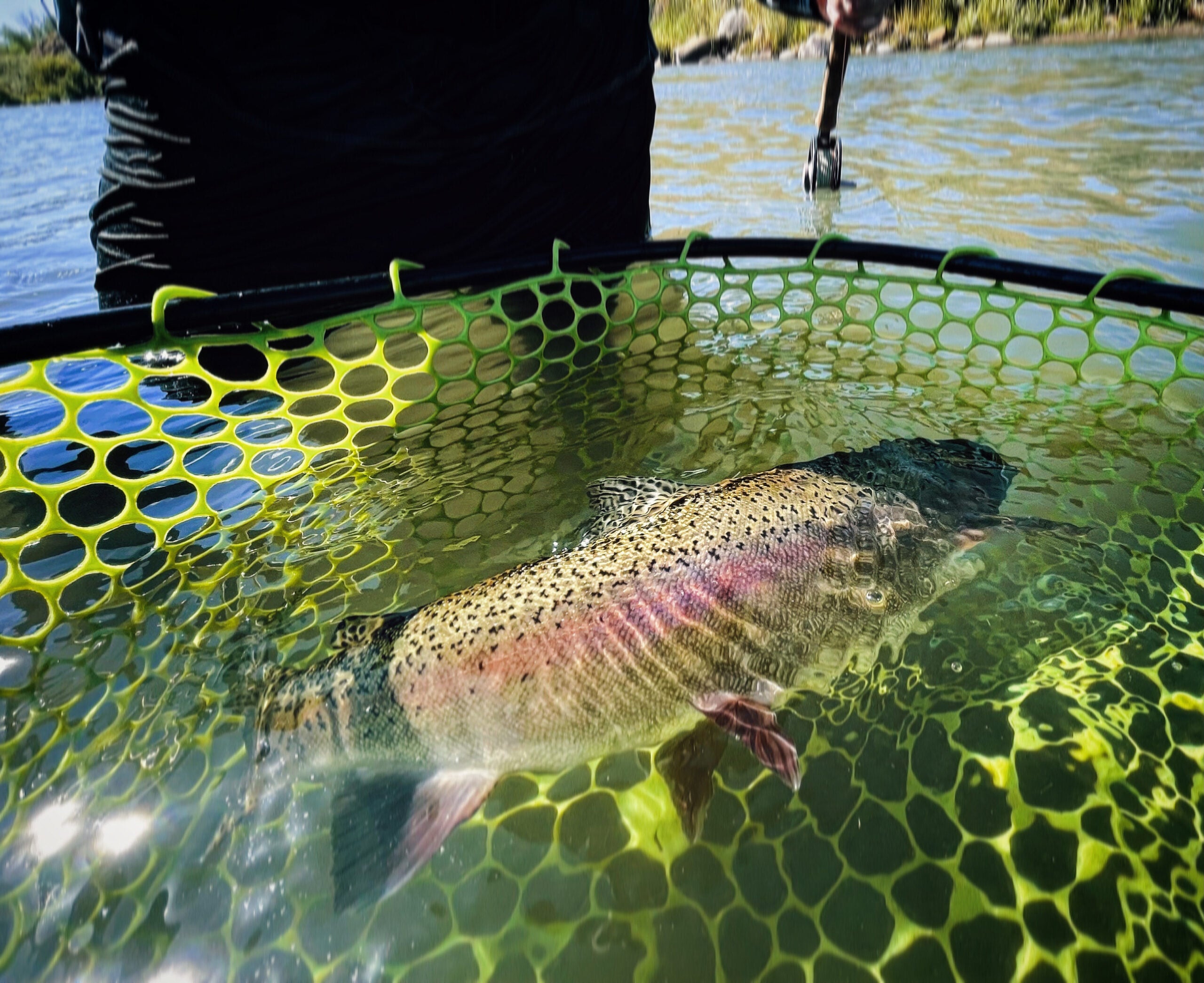 Truckee River Fly Fishing Report-8-4-22 - Gilligan's Guide Service